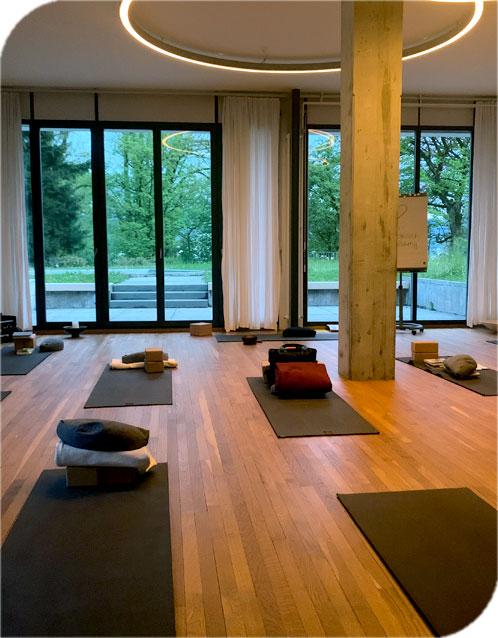 Yogalehrerausbildung Yogasitz Luzern